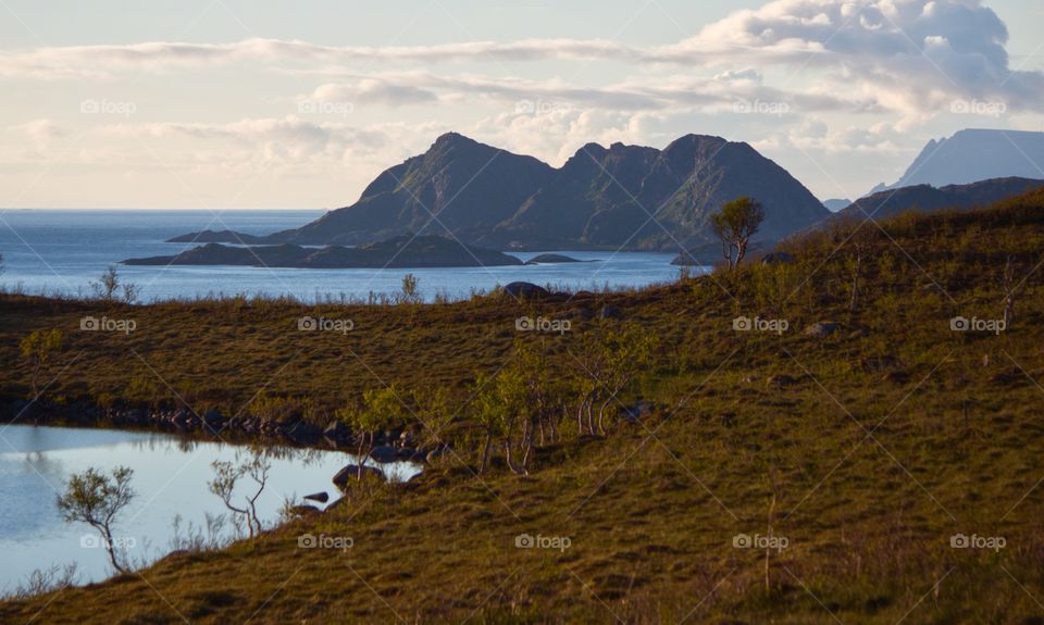 Norwegian summer