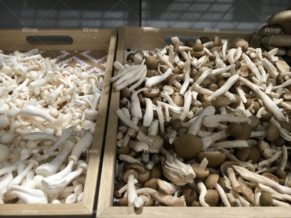 Mushrooms  at Farmers Market