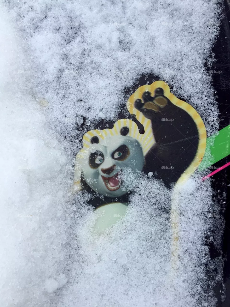 Panda 