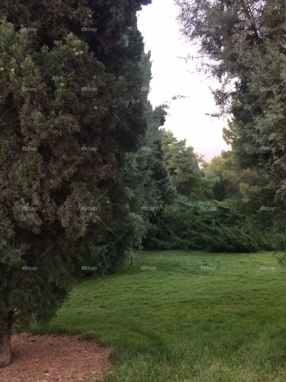Park 