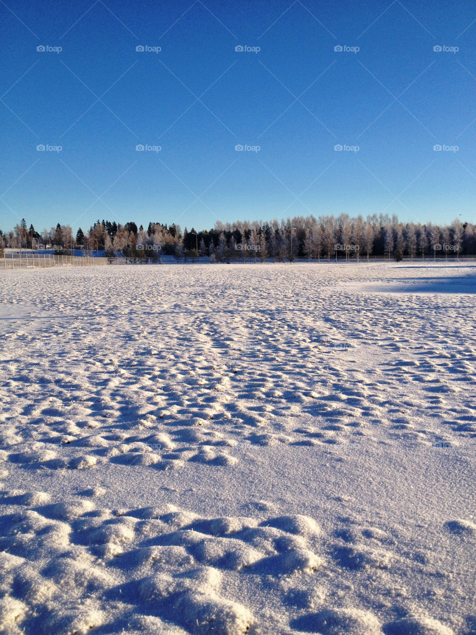 White space. A field covered with snow