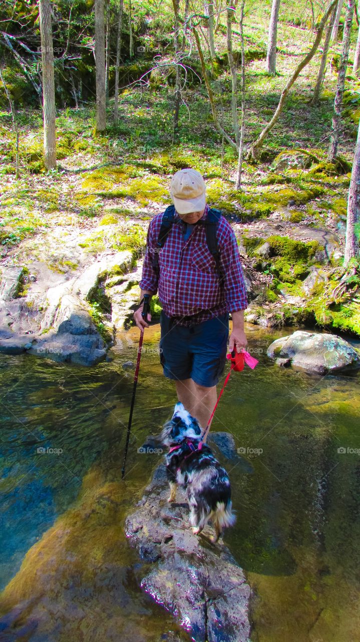 Walking in the forest with a dog.