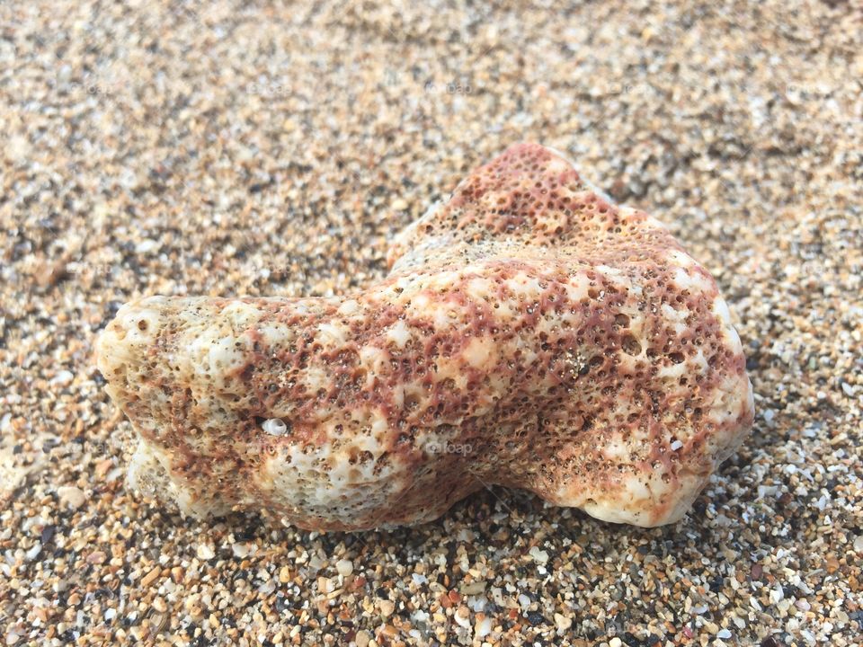 Maui beach stone