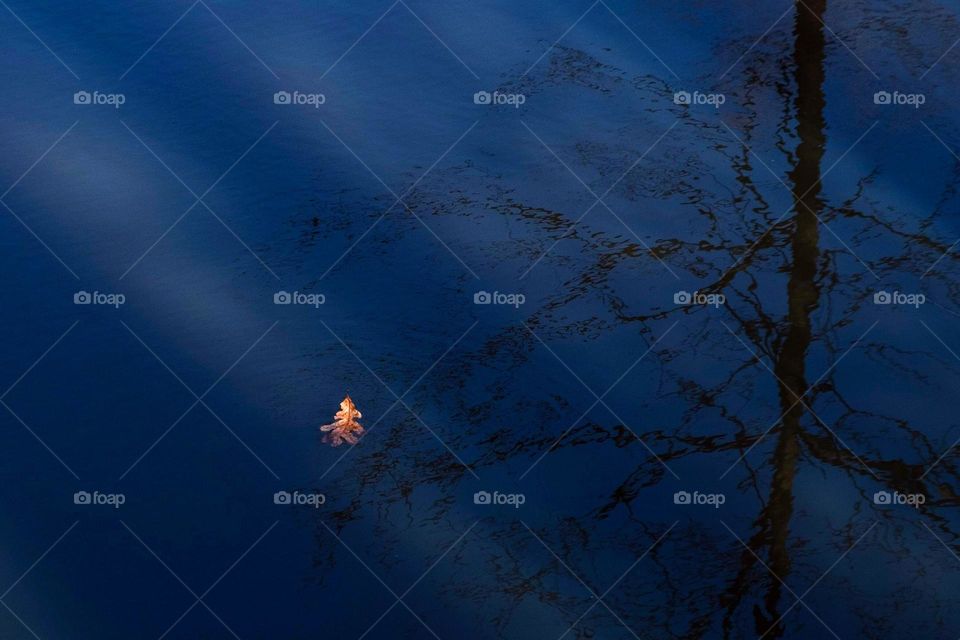 An orange oak leaf floats along in a creek reflecting the blue sky. 