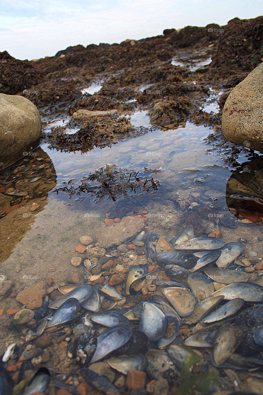 beach stones sand sea by leonbritton123