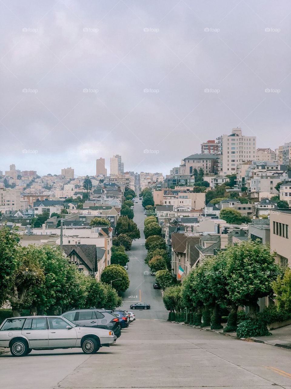 San Francisco street with green trees