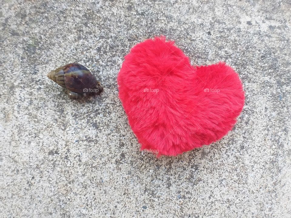 Red heart with snail. love