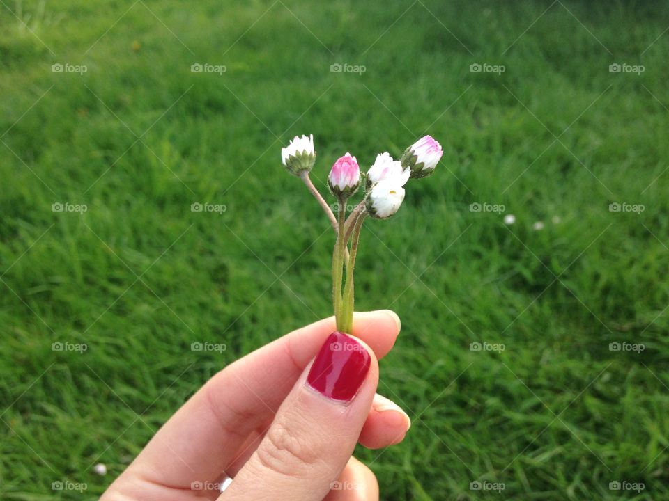 Hand with Little flowers  