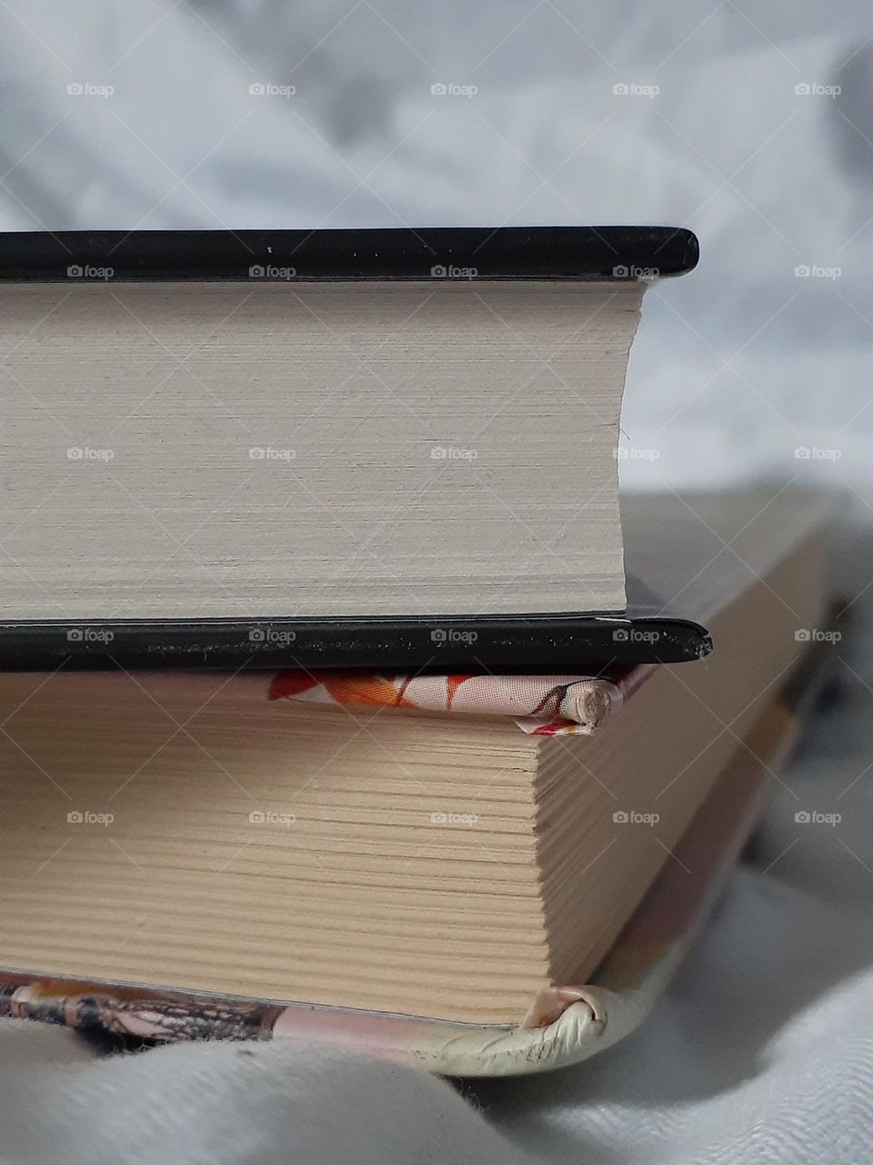 Books on a white background