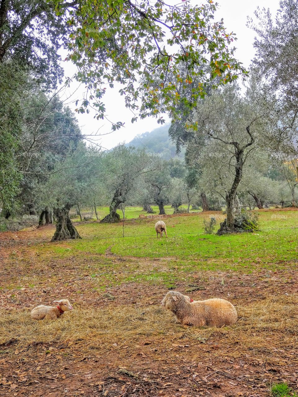 Hiking outside Sevilla, Spain