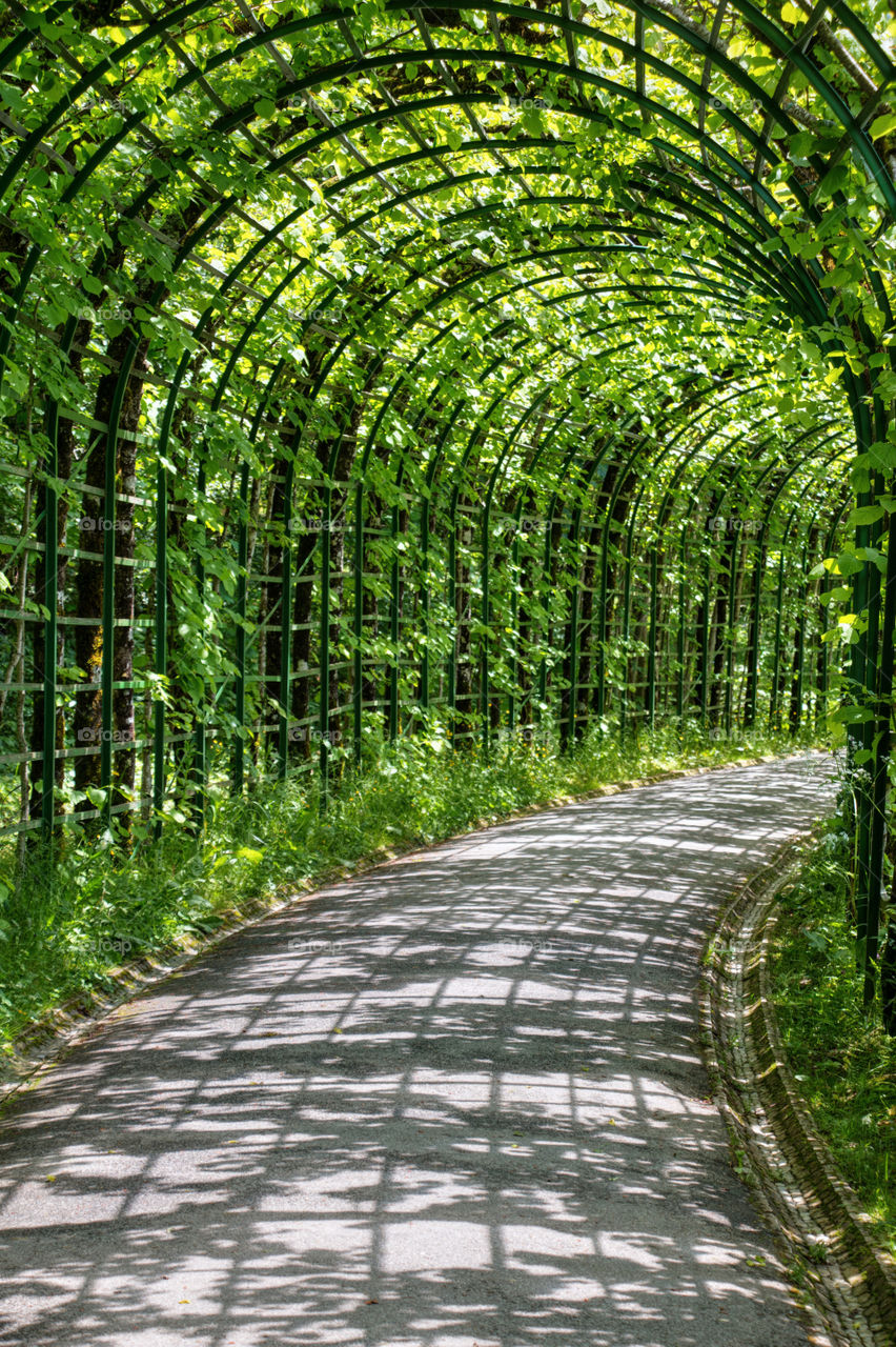Green archway trellis linderhof 
