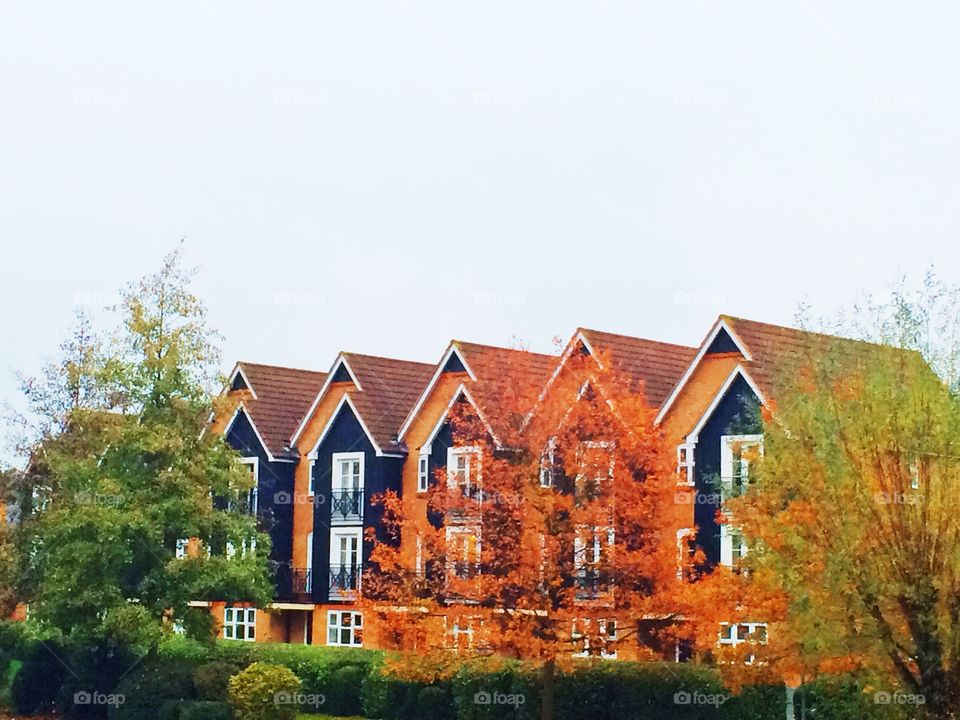 Windows in row of houses. Windows in row of houses