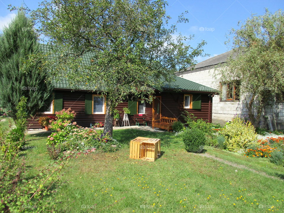 Rustical house with tree on front
