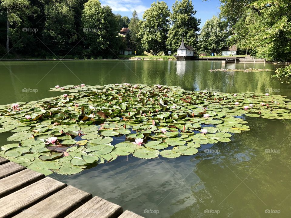 Drei Weihern St. Gallen 