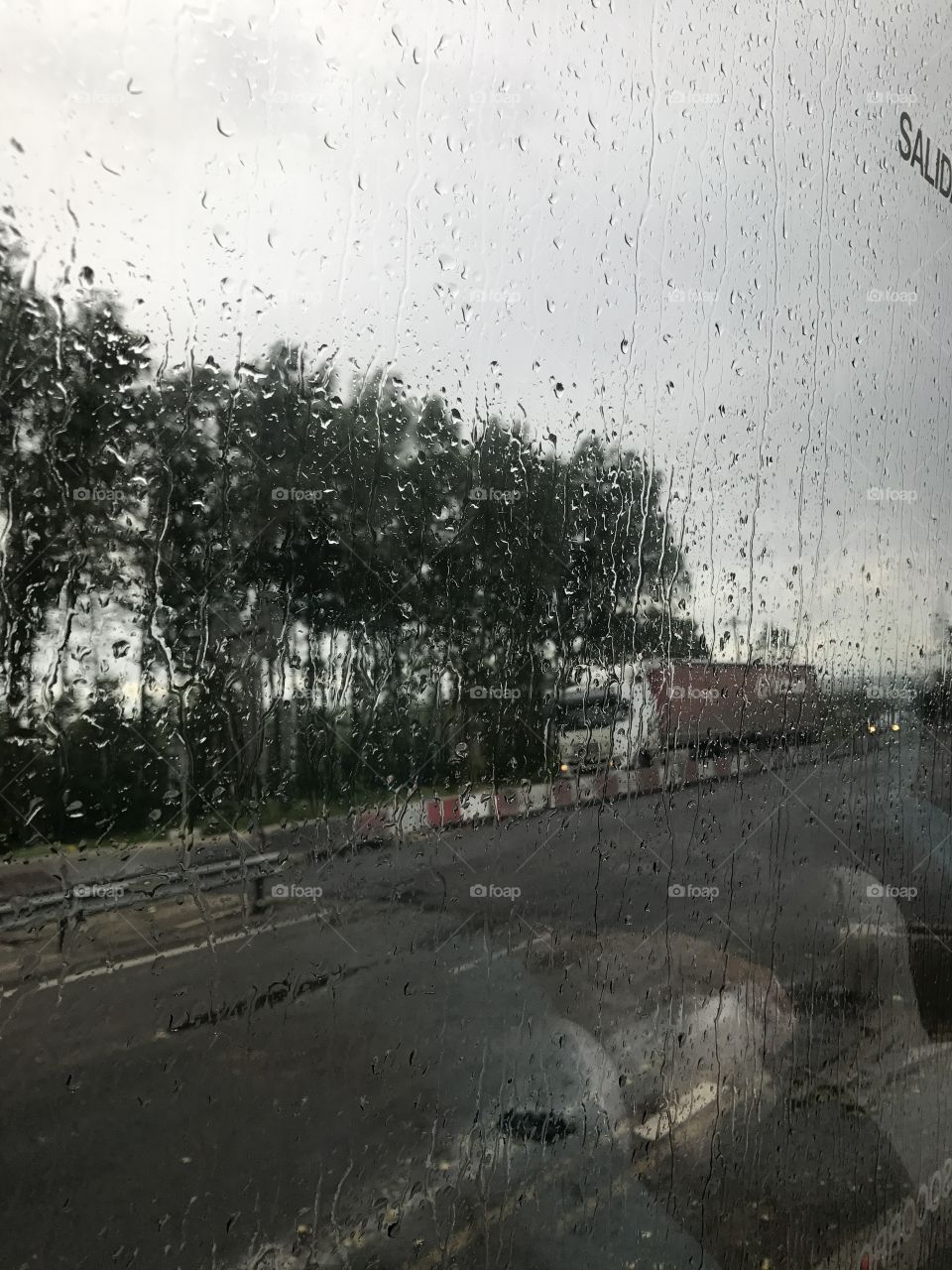 The road in rain
