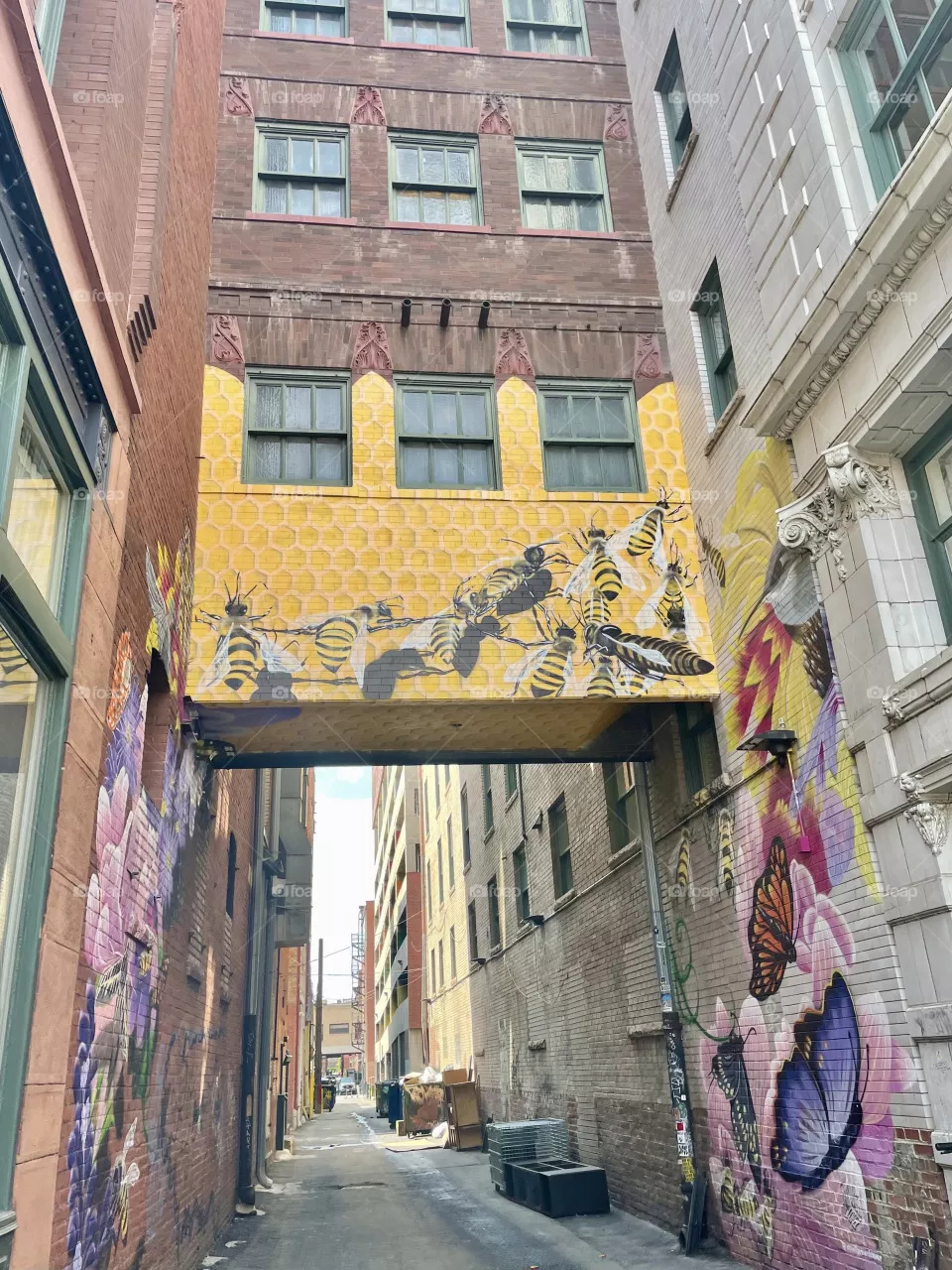 Bee Alley