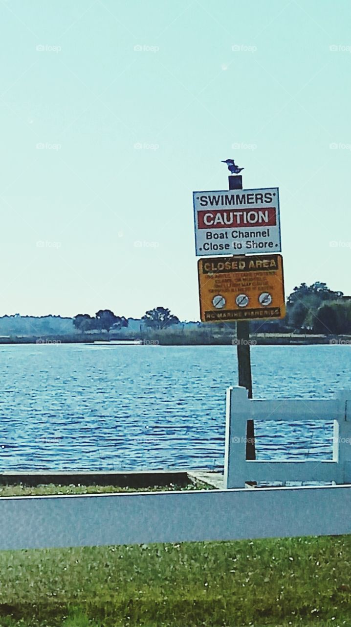 bird on sign