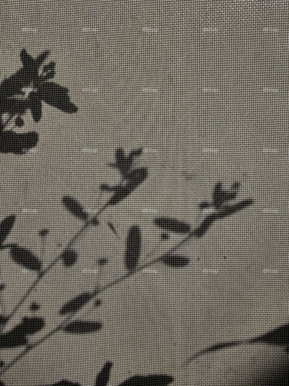 A delicate silhouette of a plant cast on the blind with the vibrancy of a sunlit day. The feeling is of simplicity,  warmth, and calm of a summer day.