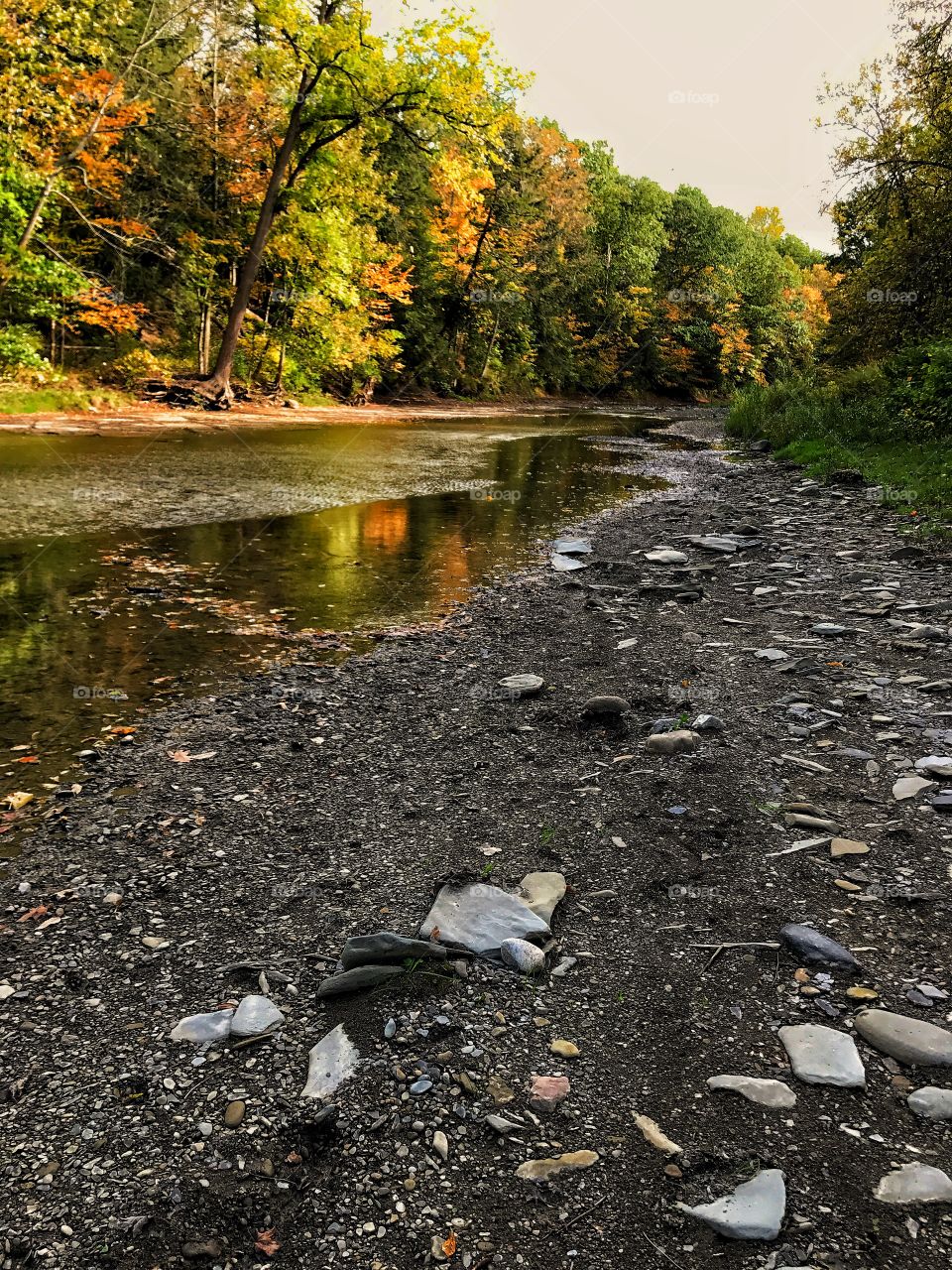 Cazenovia creek in the fall