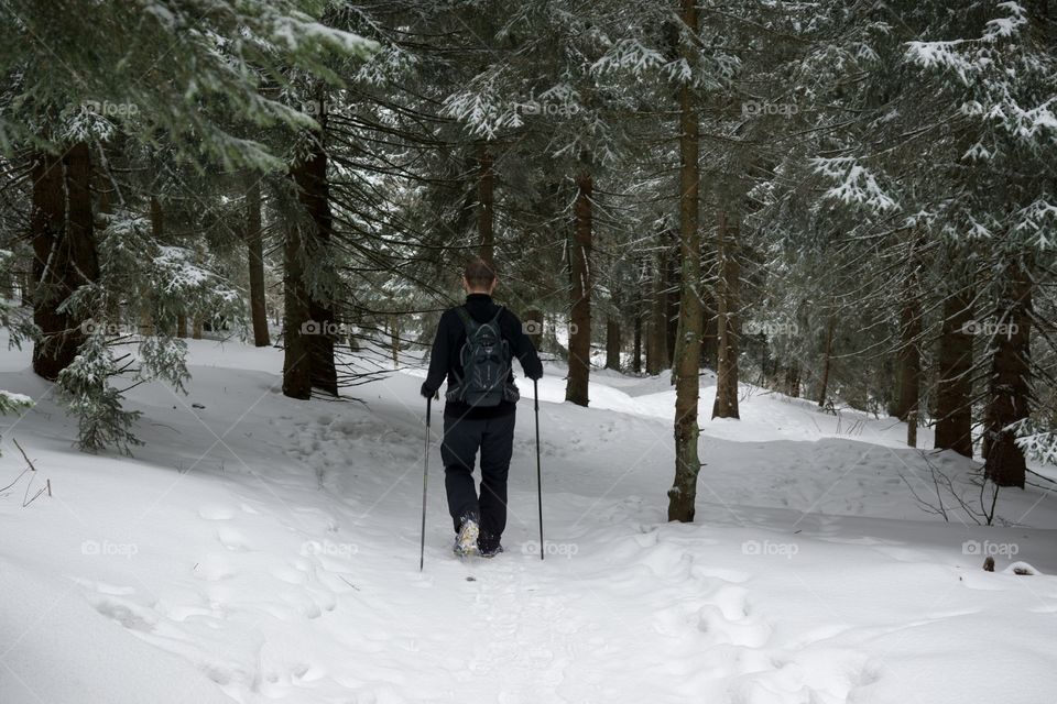 hiking man in the woods during winter. Slovakia