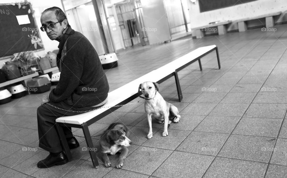 Old man and two dogs waiting