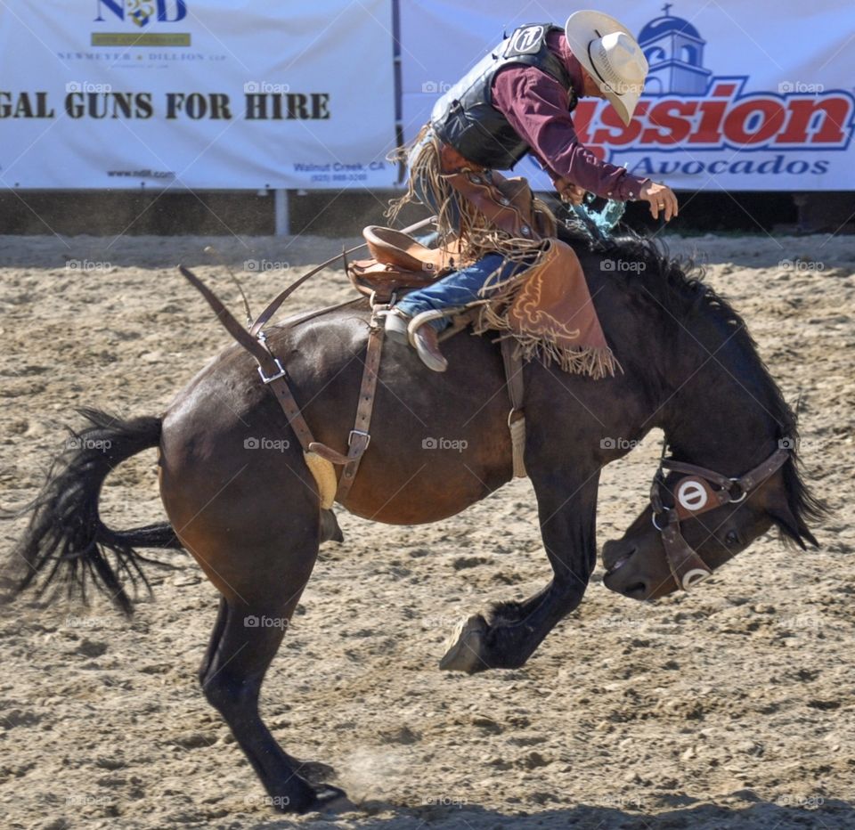 Bronc riding at the rodeo