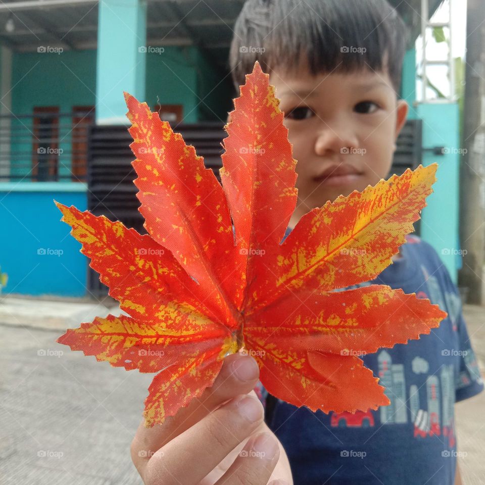 a boy holding a dry leaf