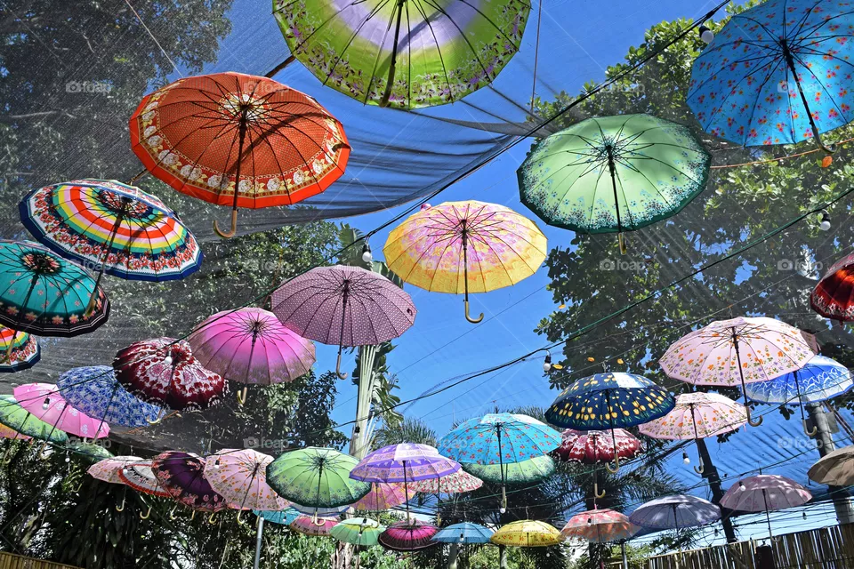 Umbrellas