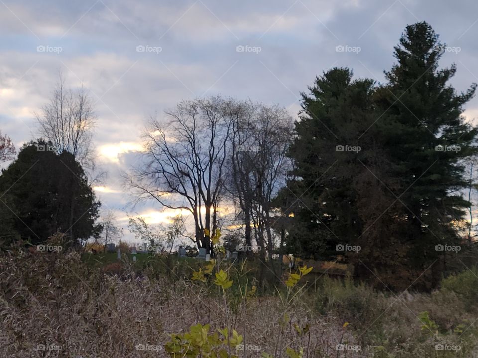 Halloween Night  view of the Cemetery