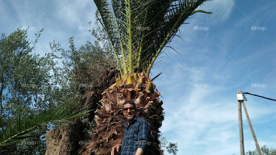 Im standing beside my mother s palm tree.