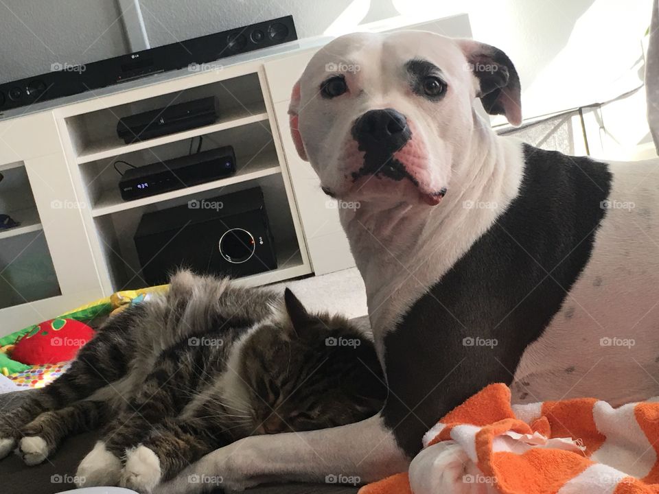 He's her favorite being