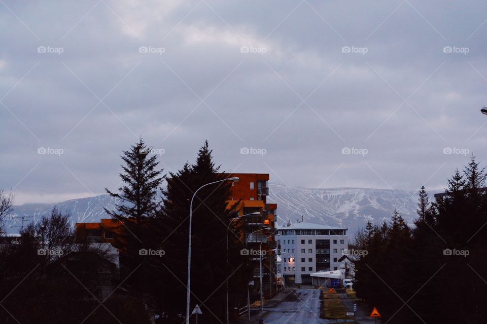 Snow, Winter, No Person, Tree, Landscape