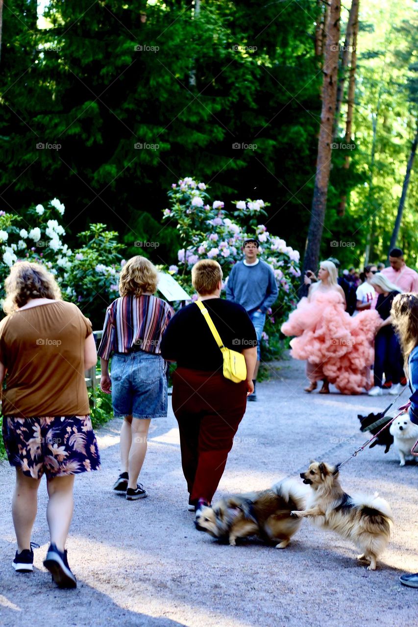 People walking with friends and pets at Haaga rhodopark in Helsinki, Finland