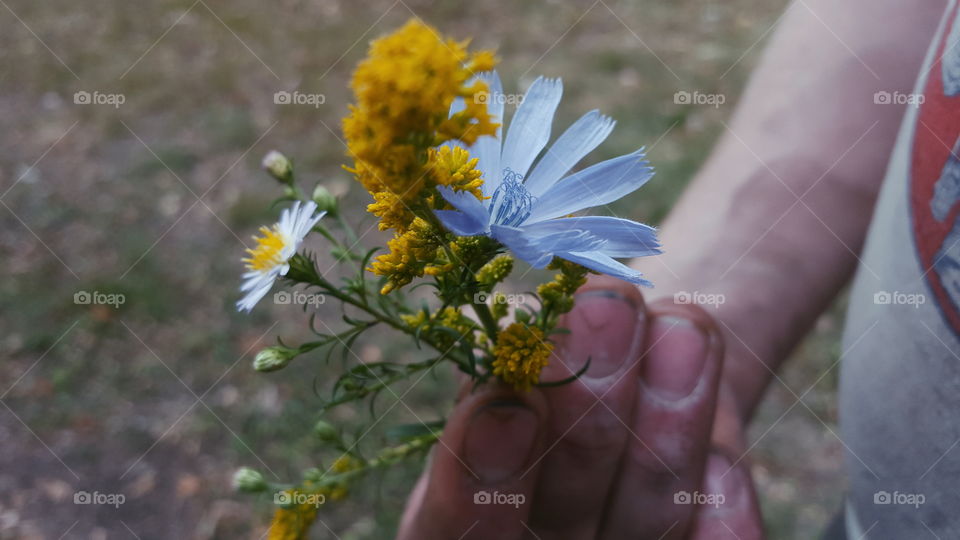 he picked me some flower weeds on work break, weeds are beautiful too.