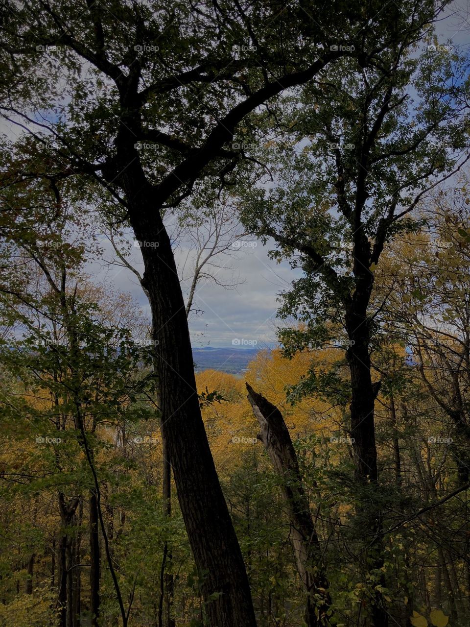 Shadows against color