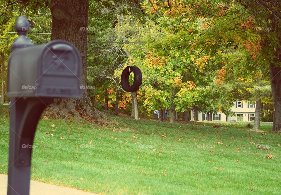 Backyard games