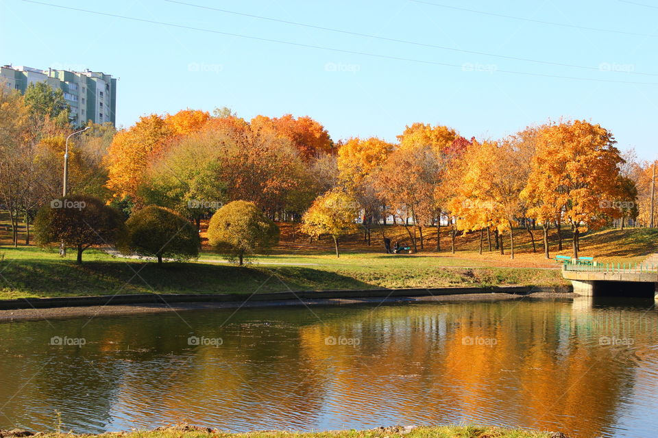 autumn landscape