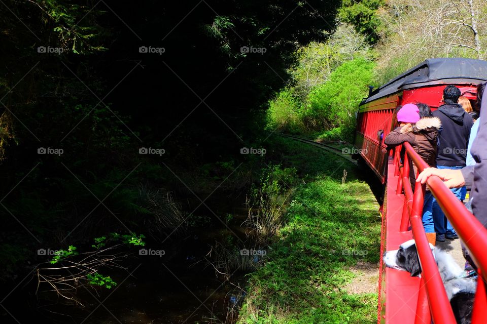 Red train with passangers passing through forest