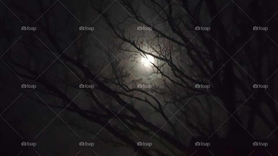 Full Moon
