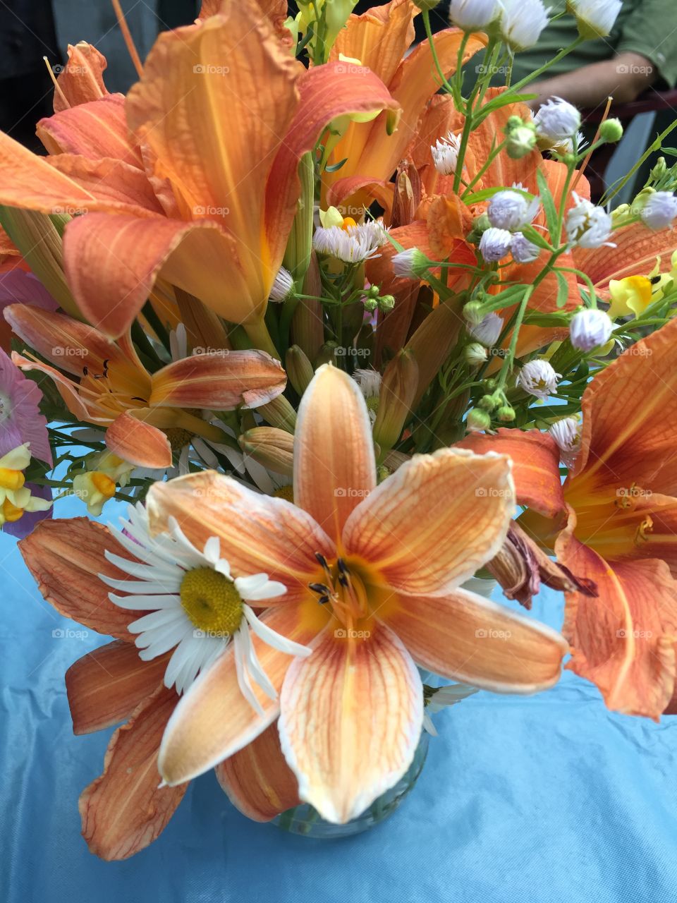 Wildflower. Picked these beautiful flowers growing along side a remote country dirt road. 