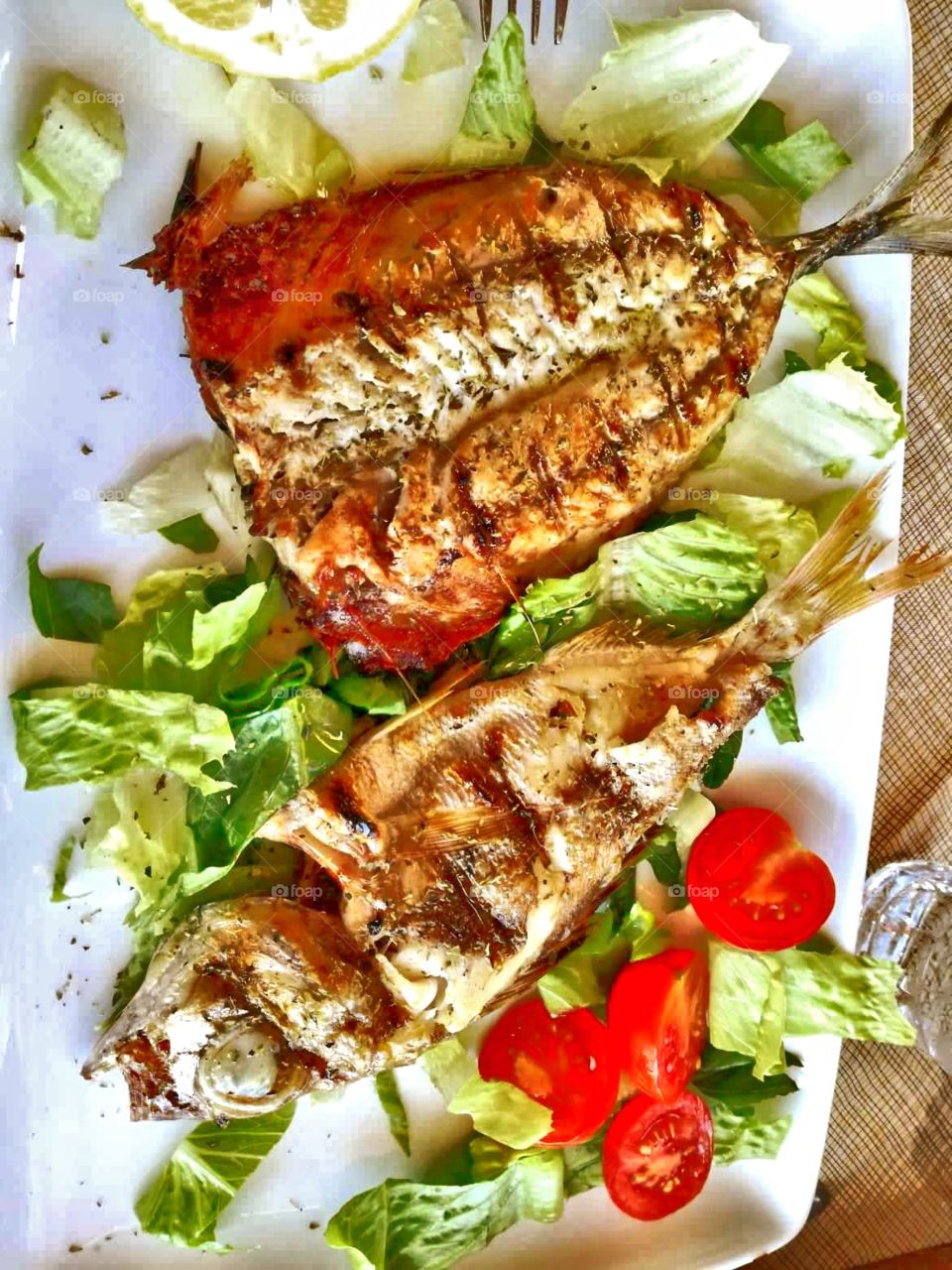 Tasty grilled fish with salad