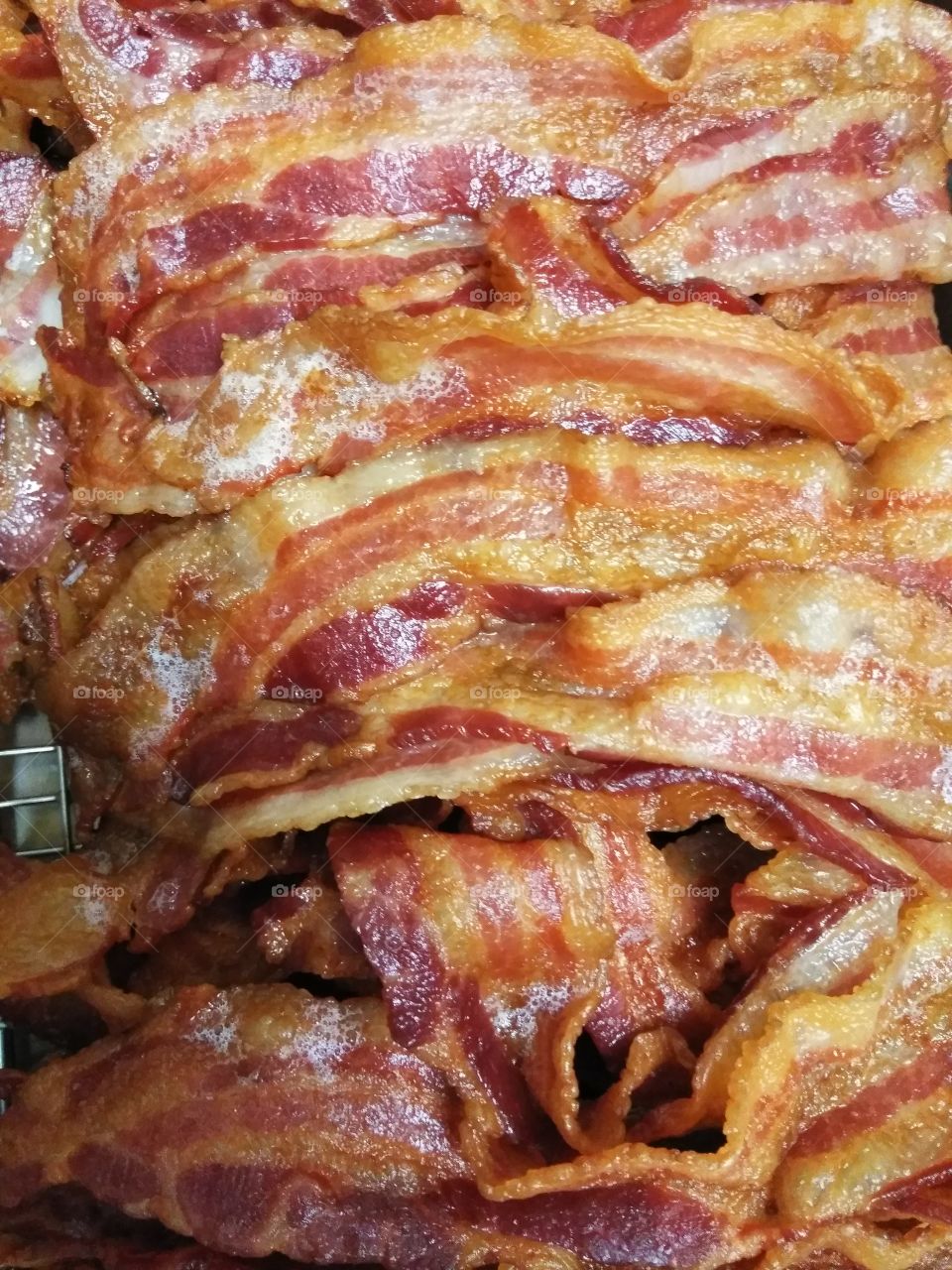 Bacon Bacon Bacon