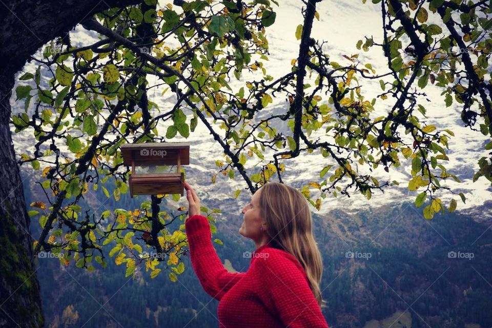 Nature#tree#wood#human