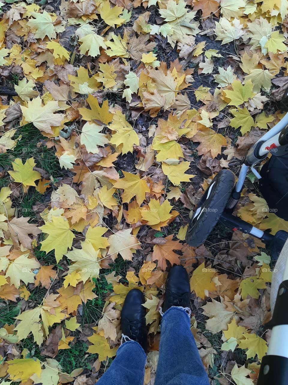 Leaves underfoot