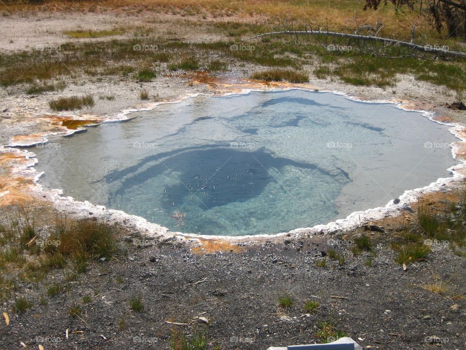 Yellowstone National Park. Hot spring