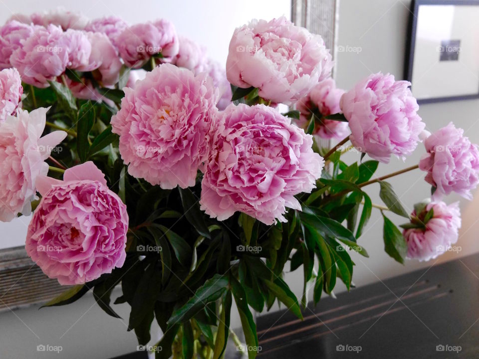 Peonies in the hallway