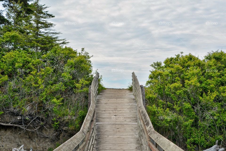 Ramp to the dock