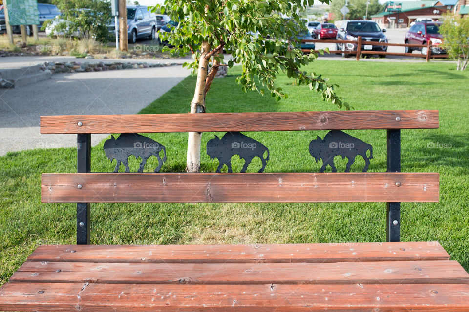 buffalo bench