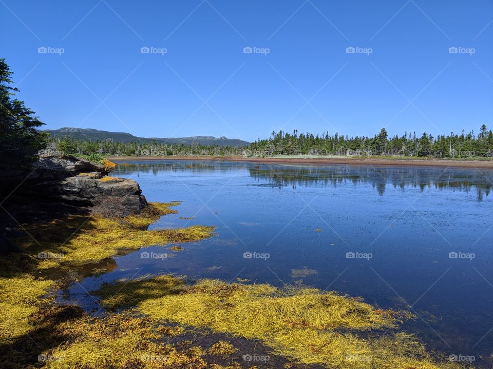 Road Trip to Manuel's River