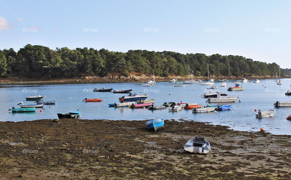Gulf of Morbihan Brittany France